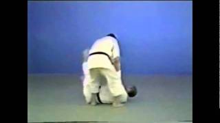 Judo - Tsubame-gaeshi