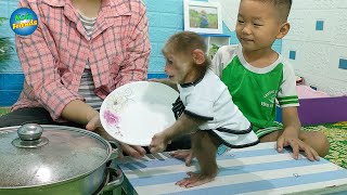 Funny Monkey Kobi can't wait to eat boiled potatoes