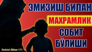 Фиқҳ аҳкомлари дарсидан: 171-дарс: Эмизиш билан маҳрамлик собит бўлиши ва бунга тегишли аҳкомлар