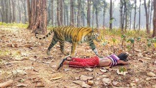 tiger attack man in forest | tiger attack in the forest