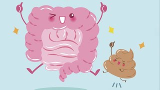 How Much Poop Can The Human Body Hold?