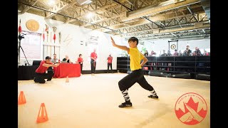 Shaolin Team Canada Wushu Festival 2019 Summary