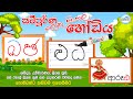 සම්පූර්ණ ලොකු සිංහල හෝඩිය | Sinhala Alphabet | Loku Sinhala Hodiya | Akuru Hodiya | Sinhala Letters