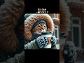 【寒すぎると思う時あるある】 生成ai ai aiイラスト aiart 猫 ネコ cat cute voicevox 動物 ペット あるある animals 寒い 冬