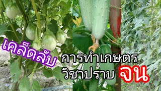 เคล็ดลับ การทำเกษตรให้งามทุกอย่าง และวิชา ปราบจน