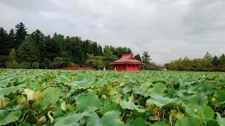 2022年9月23日の猿賀公園の様子【青森県平川市】