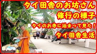 タイ田舎のお坊さん　修行の様子　お寺に泊まって見た！タイ田舎生活