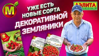 Декоративная Земляника: ЭТО НОВЫЕ СОРТА