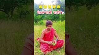 पप्पाची परी VS शेतकऱ्याची वाघीण#typicalfarmer #funny