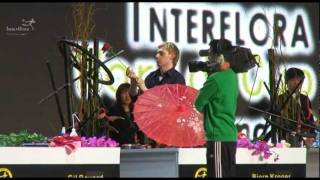 Interflora World Cup 2010 - Montage of the Final