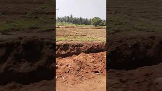 விவசாயி எவ்வளவு கஷ்ட படுறாங்க #agriculturefarming  தெரியுமாங்க #farmerlife Shorts