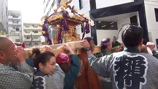 赤羽馬鹿祭り'18 江戸みこしパレード 9-7 大宮・高鼻町一丁目自治会