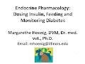 Endocrine Pancreas:  Dosing Insulin, Feeding and Monitoring Diabetes