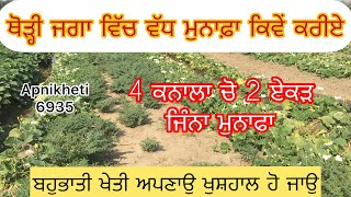 4 ਕਨਾਲ਼ਾਂ ਚੋਂ 2 ਕਿੱਲਿਆਂ ਜਿੰਨੀ ਆਮਦਨ ਇਸ ਤਾਰੀਕੇ ਨਾਲ | +917087576923