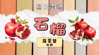 【靈食傳說】#照片靈修・石榴｜2025年2月15日