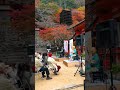 紅葉の談山神社 二胡とピアノの奏で　 shorts