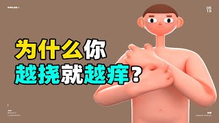 为什么会越挠越痒？