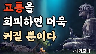 부처님이 전하는 조언, 고통에 직면하라#명언 #좋은글 #인생조언