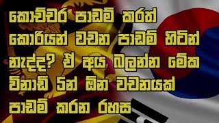 කොච්චර පාඩම් කරත් කොරියන් වචන පාඩම් හිටින් නැද්ද?ඒ අය අනිවාර්යයෙන් බලන්න korean exam 2023 srilanka