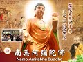 【同步】净土宗网络念佛【第924天】 开示视频《极乐清净》 2022 09 28 online recitation session（晚上8pm 9pm gmt 8 【打开cc字幕】