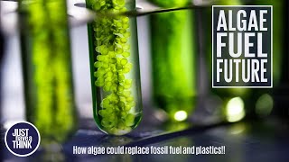 Algae - natures answer to fossil fuels and plastics!!