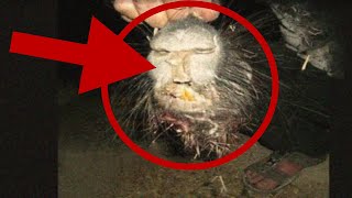 Scary and Unknown Science Creatures Captured on Camera that Have Never Been Seen