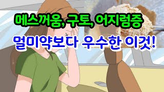 2,630명의 멀미를 씻은듯이 없애준 이것은 무엇인가?