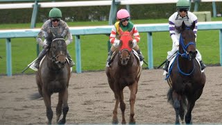 幸英明1600勝達成！泥だらけの武豊騎手がレース後に多分祝福