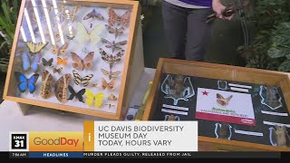 UC Davis Biodiversity Museum Day, 7am