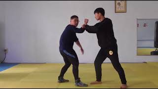 The importance of the waist in Chinese Martial Arts  命意源头在腰隙，腰对于内家拳的重要性，掌握不到这些等于白练