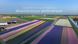 Experience Dutch spring Bloemencorso Bollenstreek🌷