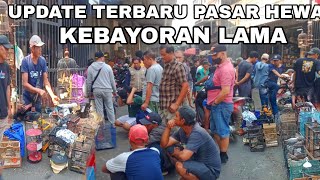 PASAR BURUNG PALING RAME‼️ DI JAKARTA SELATAN |