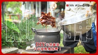 《DBS X 自然脈絡 》內有洋蔥，慎入！