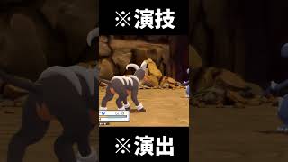 台パン【ポケモンBDSP】 #Shorts #ポケモンbdsp