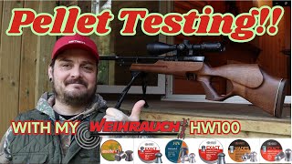 Pellet Testing with my HW100