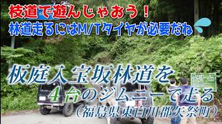 ジムニーで[福島]完抜の板庭入宝坂林道を走る -枝道アタックで脱出できない！？-