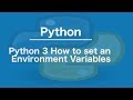 Python 3 How to set an environment variables