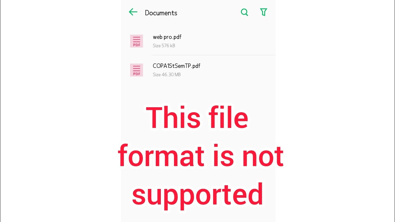 This files is not supported