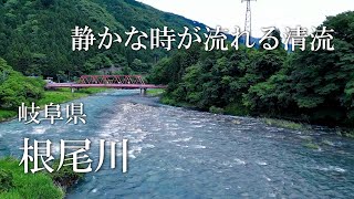 根尾川～岐阜県の清流～ドローン空撮