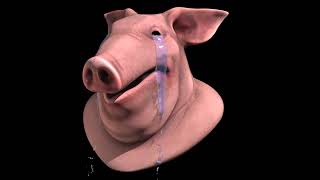 Houdini Mini: Crying Pig