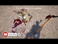 half sword very realistic ragdoll battle based medieval weapons brutal npc fights 24