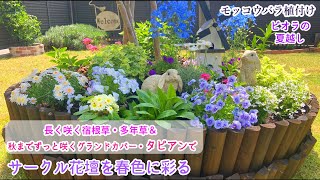 【庭づくり/長く咲くお花で楽しむ春の円形花壇】【モッコウバラ植え付け】ビオラ夏越し/立ち上げ花壇/ガーデニング/丸い花壇/宿根草・多年草