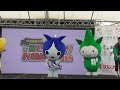 prステージ　カツオにゃんこ