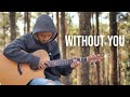 Without You - Avicii - Fingerstyle Guitar Cover