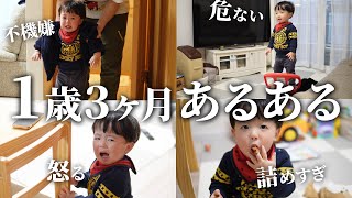 1歳3ヶ月のあるある✨泣いたり怒ったり大変になってきたぞー😂