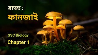 ফানজাই রাজ্যের বৈশিষ্ট্য | Kingdom Fungi | SSC Biology chapter 1