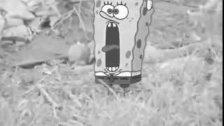 Mr. Krab's Vietnam Flashback