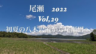 尾瀬2022　Vol,29　初夏の八木沢道から尾瀬沼へ