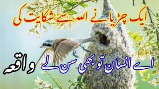 Best Urdu Moral Story About ALLAH | Insan Or Kudrat | Rj Shan Ali | Sabaq Amoz Kahani @Hafiz_shahbaz_acadmey