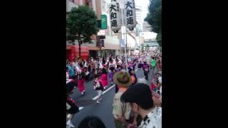 阿波踊り2016 小岩 東京 その3